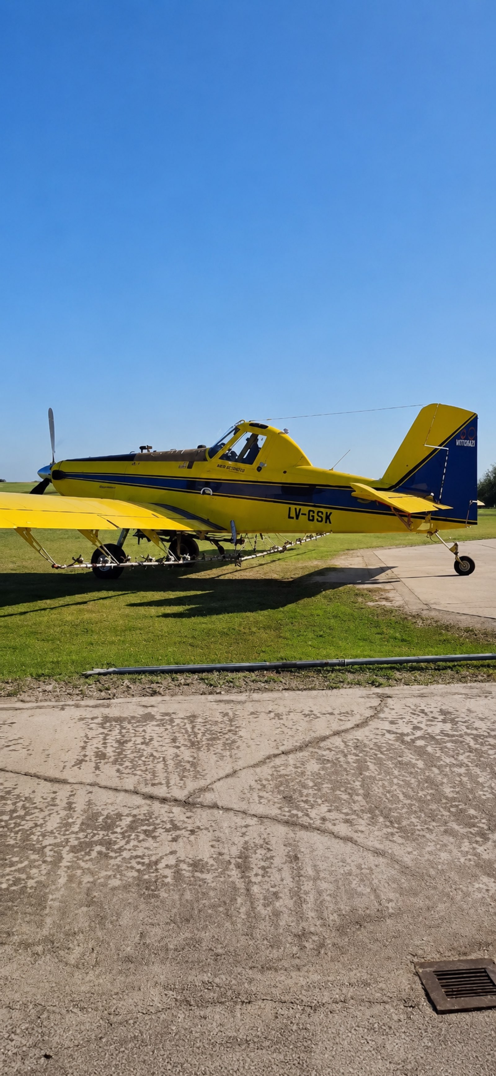 Aérea